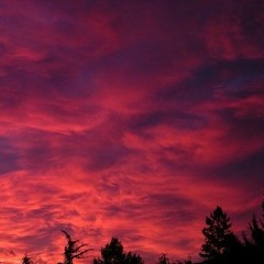 Dusk