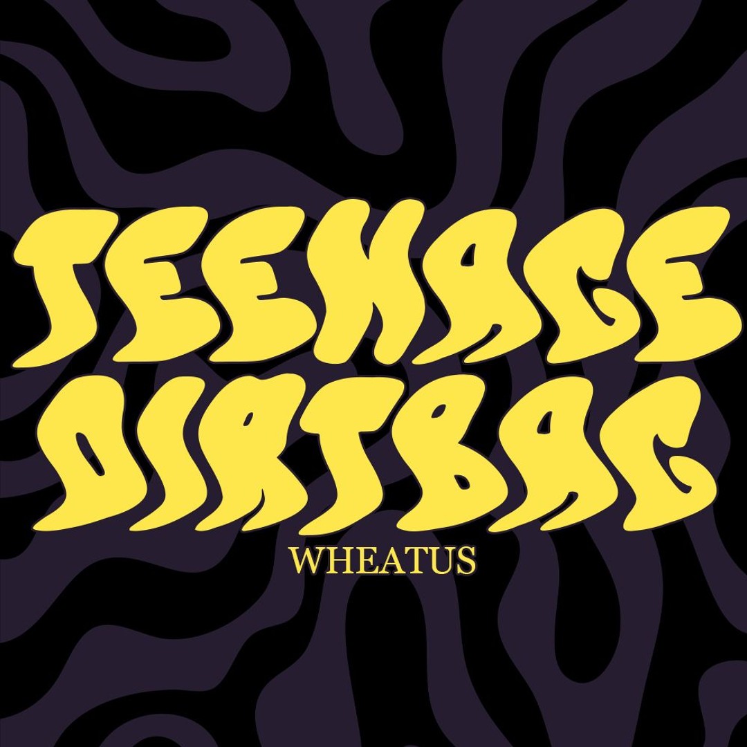 Wheatus Teenage Dirtbag 12インチ レコード Teenage Dirtbag (Ger