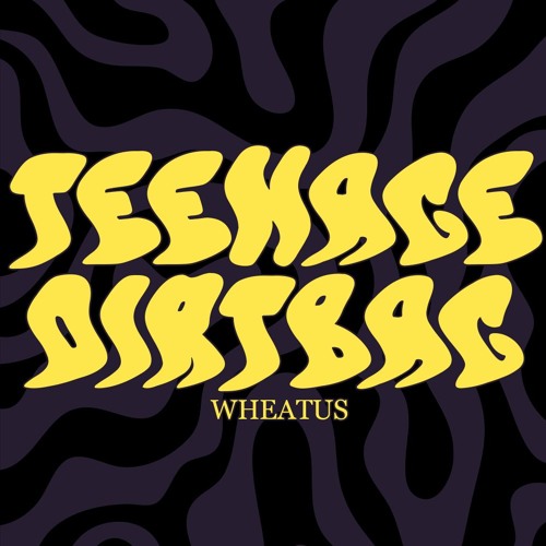 Wheatus Teenage Dirtbag 12インチ レコード Wheatus Teenage Dirtbag 12インチ レコード Teenage Dirtbag - Amazon