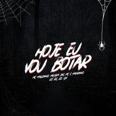 HOJE EU VOU BOTAR - MC'$ MAGRINHO, MR. BIM, NANDINHO & BIG = 2035 =