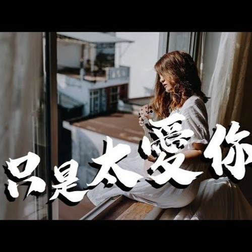 Zhi Shi Tai Ai Ni_(Use L3 Remix)_[xXx]