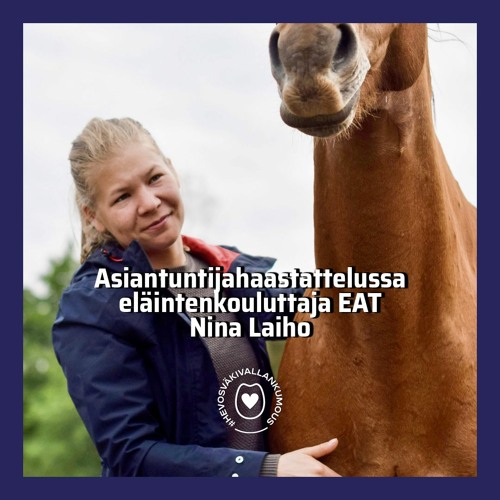 Asiantuntijahaastattelu: Nina Laiho / Hevosen ongelmakäyttäytyminen