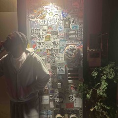 whnitsover samples