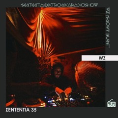 Sententia 35 - WZ