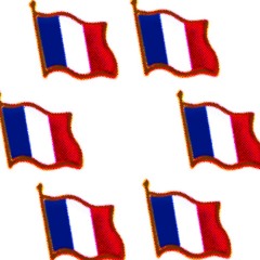 Excuse my french short flip