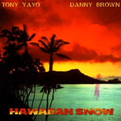 Tony Yayo & Danny Brown - Trippin (feat Lil B)