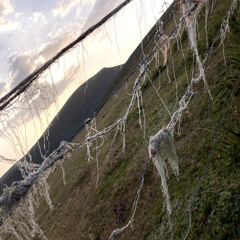 bajando una colina