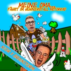 Meine Oma fährt im Hühnerstall Motorrad (KIOR x Brainstorm Heli Edit)