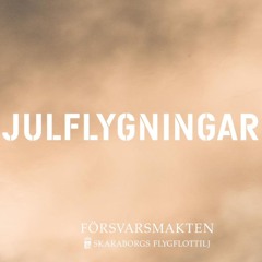 241211 - JAS 39 Gripen