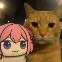 𝑪𝒐𝒍𝒐𝒓-𝑿哈基米音乐完整版