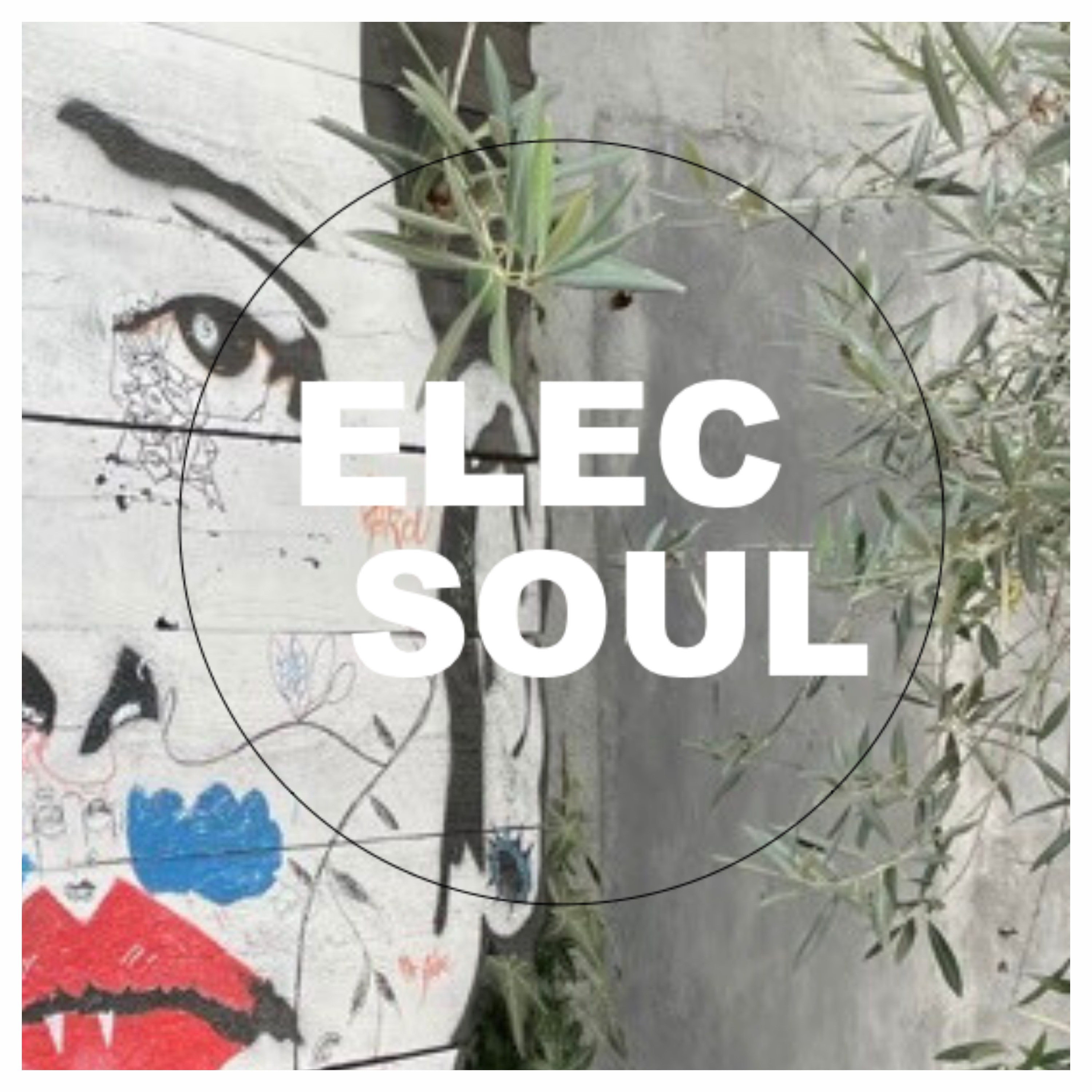 ElecSoul
