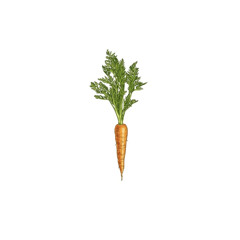 CarrotJuice(unmastered)
