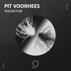 Pit Voorhees - Magnetism (Original Mix) (LIZPLAY RECORDS)