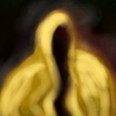 Bright Yellow Cloak