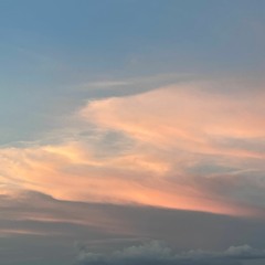 silly piss song (cover)