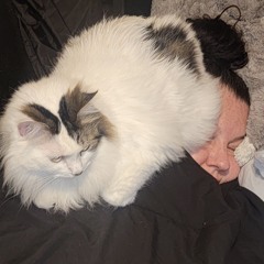 Letter to my love.wav