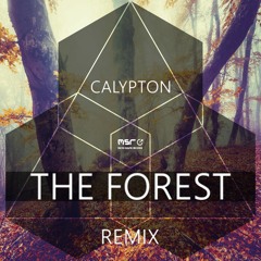 THE FOREST (remix) - CALYPTON