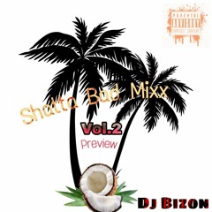 🔥😈- Dj Bizon -Shatta Bad Mix Vol.2.🔥🍑m4a