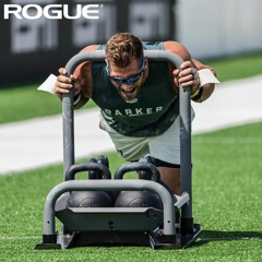 RSM GYM SHARK