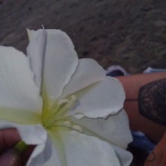 DESPIERTO EN EL AYER