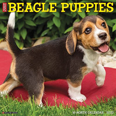 Read EBOOK 📘 Just Beagle Puppies 2023 Wall Calendar by  Willow Creek Press [PDF EBOO