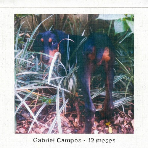 Desde Que o Mundo É Cego - Demo