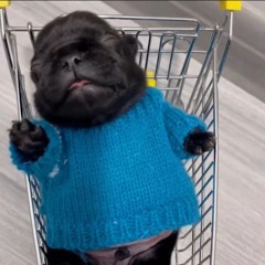 im the whitest girl alive...