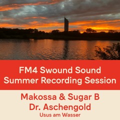 FM4 Swound Sound #1365