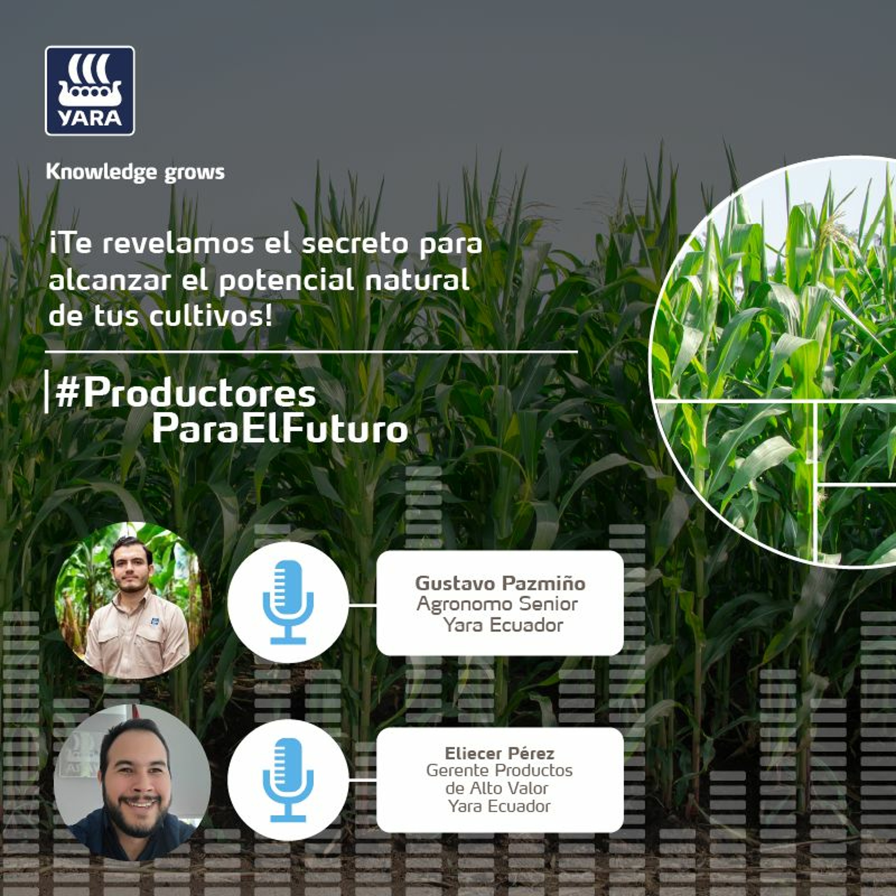 Productores Para El Futuro