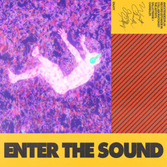 SALLEYMANE & CHXNDLER - ENTER THE SOUND EP (Free Download)
