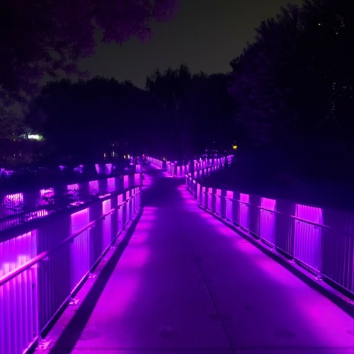 Lil uzi vert for fun prodbyshorty