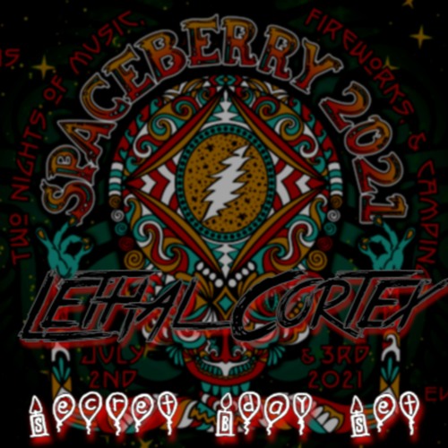 Secret Birthday Set - Live At Spaceberry 2021