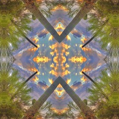 an instrumental player