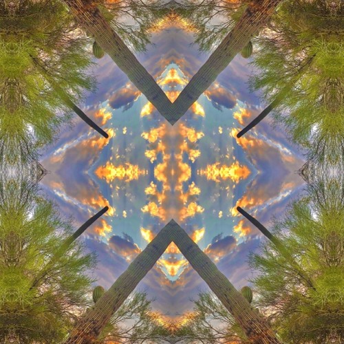 an instrumental player