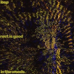 in the woods