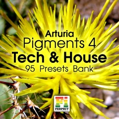 Pigments - Tech & House Bank - Demo