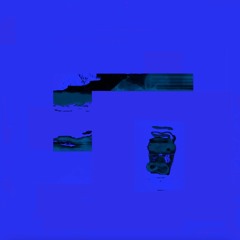 SALLOW  2025 -03-07