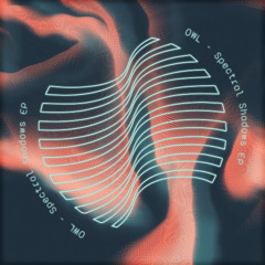 PREMIERE: Owl - Infinite Dusk [Ebbs & Flows]