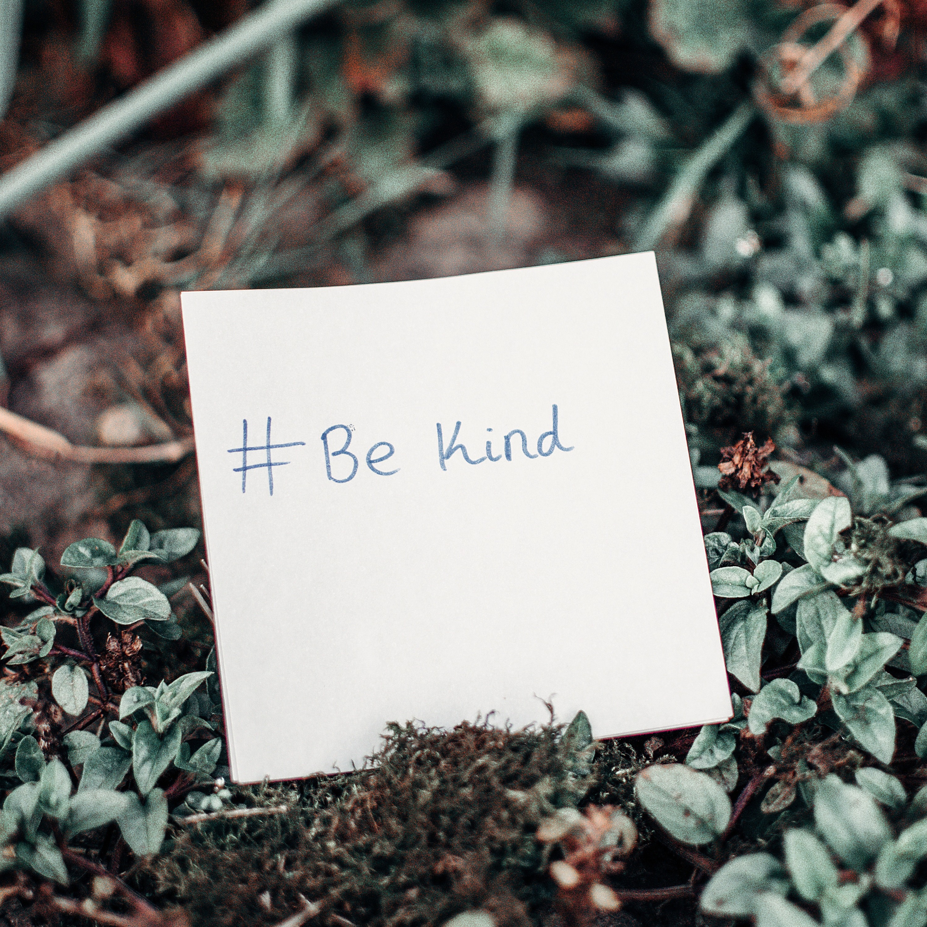 Compassionpodden