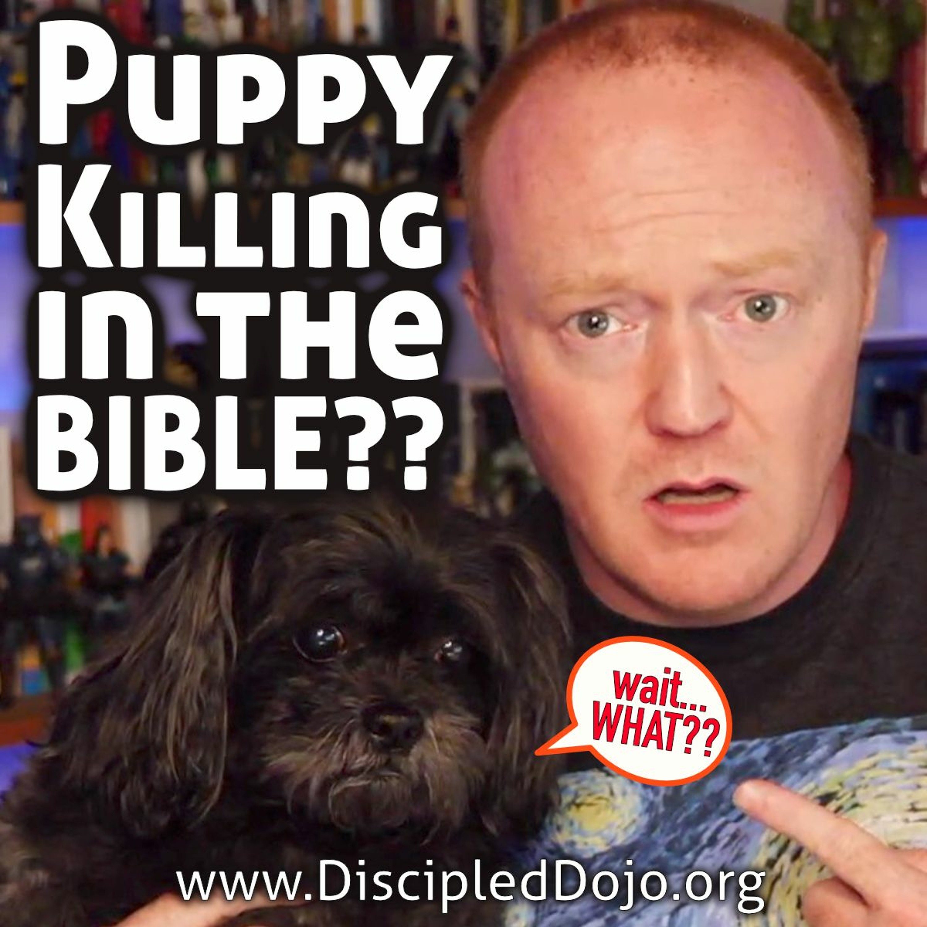 Puppy-killing in the Bible?? (aka. Why ancient Near East context matters!) episode artwork