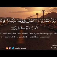 سورة يوسف وديع اليمني