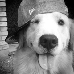 Деньги и ствол prod. z3nnyq