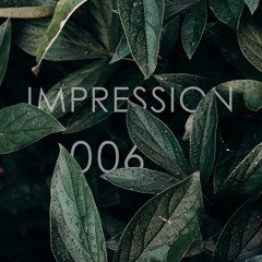 IMPRESSION 006