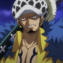Law