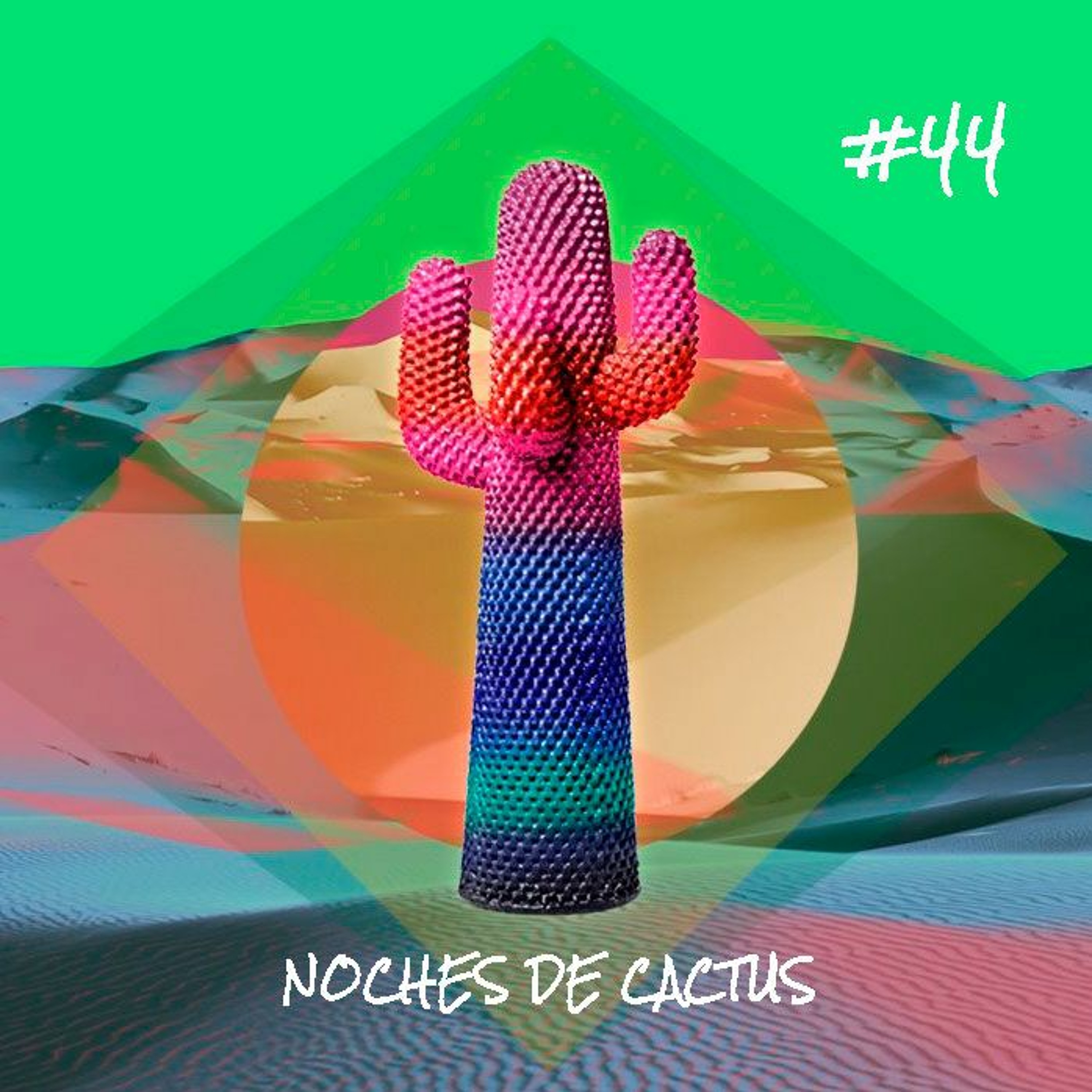 Noches de Cactus
