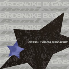 PREMIERE: Birdsnake - Phlusta (Cooper Dodge Rethink) [Bathtub Music]