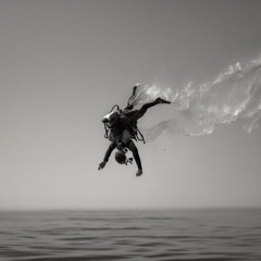 Tell Me If You Want to Dive