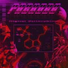 Raekogg - Digital Psilocybin Mix EP 2007