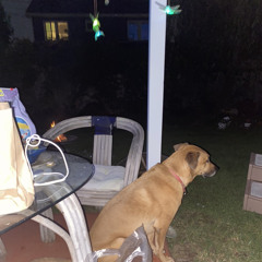 Go edited - 1/2/23, 10.01 PM.m4a