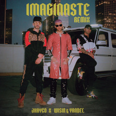 Imaginaste (Remix)